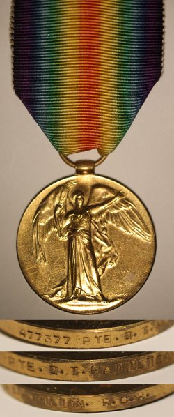 Victory Medal awarded to 477377 Private Douglas Thomas Hamilton.